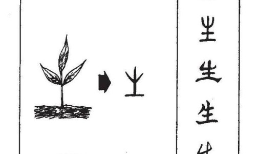 百香果果皮的正确吃法大全-百香果果皮吃法大全,中国百香果果皮吃法网站