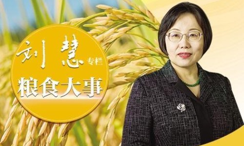 百香果果皮吃法视频-百香果果皮的正确吃法大全-百香果果皮吃法大全,中国百香果果皮吃法网站